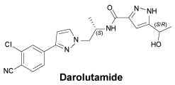 CSDAROLU.gif