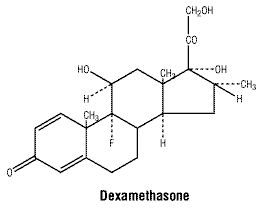 CSDEXMTH.gif