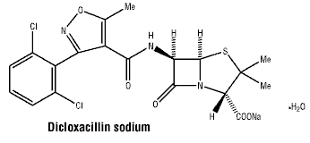 CSDICLOX.gif