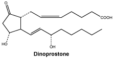 CSDINOPR.gif