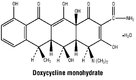 CSDOXMON.gif