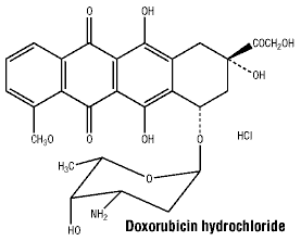 CSDOXORH.gif
