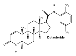 CSDUTAST.gif