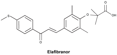 CSELAFIB.gif