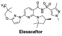 CSELEXAC.gif