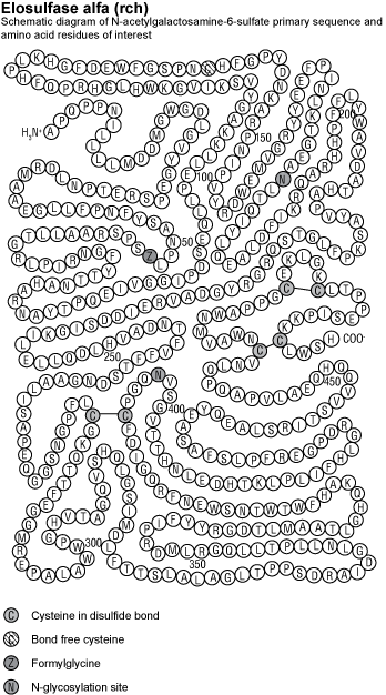 CSELOALF.gif