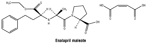 CSENAMAL.gif