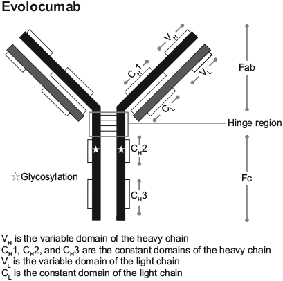 CSEVOLOC.gif