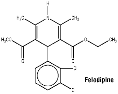 CSFELODI.gif