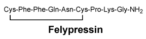CSFELYPR.gif