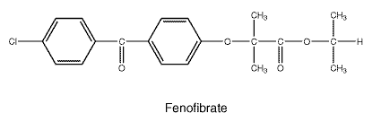 CSFENOFI.gif