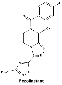 CSFEZOLI.gif