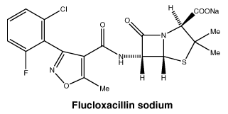 CSFLUCSO.gif