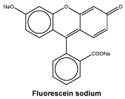 CSFLUORE.gif