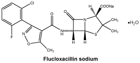 CSFLUSOD.gif