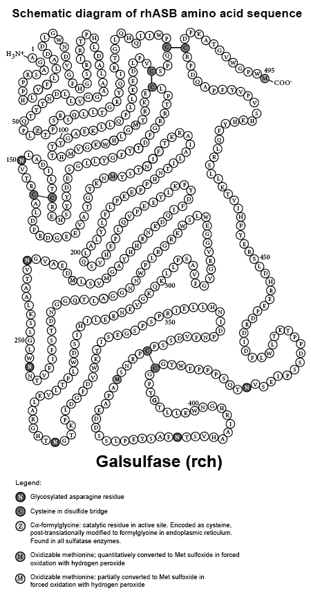 CSGALSUL.gif
