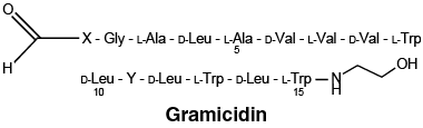 CSGRAMIC.gif