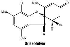 CSGRISEO.gif