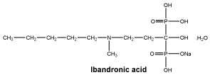 CSIBANDR.gif