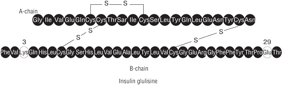 CSINSGLU.gif