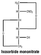 CSISOMON.gif