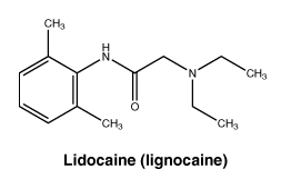 CSLIDCAI.gif