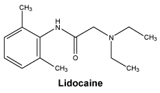 CSLIDCAN.gif