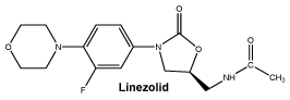 CSLINEZO.gif