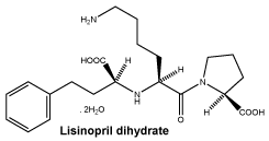 CSLISDIH.gif
