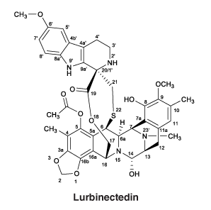 CSLURBIN.gif