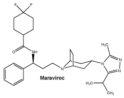 CSMARAVI.gif