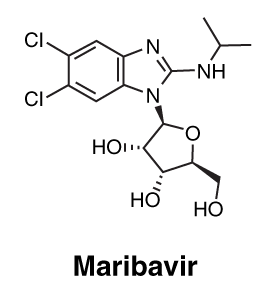 CSMARIBA.gif