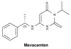 CSMAVACA.gif