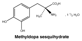 CSMETSES.gif