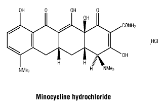 CSMINHCL.gif