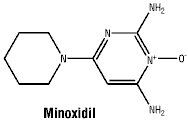 CSMINOXI.gif