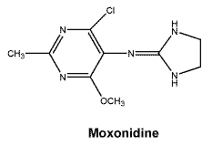 CSMOXONI.gif