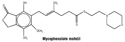 CSMYCMOF.gif