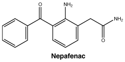 CSNEPAFE.gif