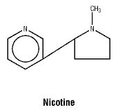 CSNICOTI.gif