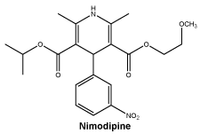 CSNIMODI.gif