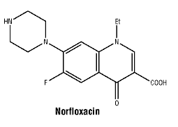 CSNORFLO.gif