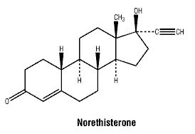 CSNORTHI.gif