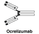CSOCRELI.gif