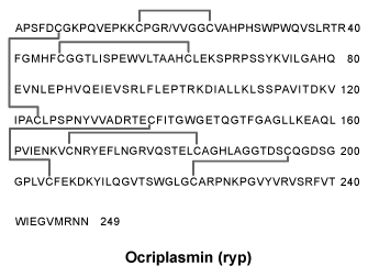 CSOCRIPL.gif