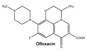 CSOFLOXA.gif