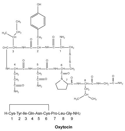 CSOXYCIN.gif
