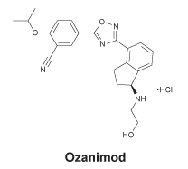 CSOZANIM.gif
