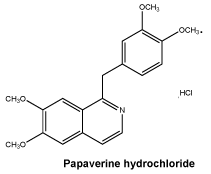 CSPAPHCL.gif