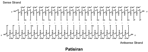 CSPATISI.gif